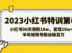 小红书特训第6期，小红书90天涨粉18w，变现10w+，半年矩阵号粉丝破百万