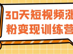 30天短视频涨粉变现训练营，做一个持续吸金的短视频账号（价值1999元）