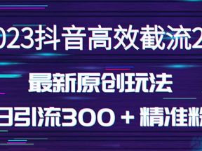 日引300＋创业粉，独家抖音高效截流2.0玩法（价值1280元）