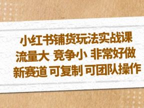 小红书铺货玩法实战课，流量大 竞争小 非常好做 新赛道 可复制 可团队操作