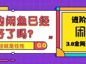 火爆全网的咸鱼玩法进阶课程，单号日入1K的咸鱼进阶课程