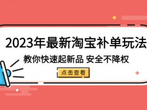 最新淘宝补单玩法，教你快速起·新品，安全·不降权（18课时）