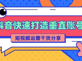  抖音短视频运营分享：如何快速打造一个垂直账号【视频课程】