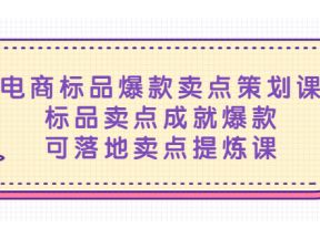 电商标品爆款卖点策划课，标品卖点成就爆款，可落地卖点提炼课