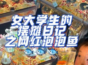 最近抖音很火的泡泡鱼手工小成本地摊创业项目，日賺500+项目课程解析