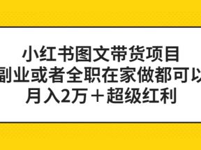 小红书图文带货项目，副业或者全职在家做都可以，月入2万＋超级红利 