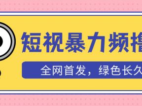 外面收费1680的短视频暴力撸金，日入300+长期可做，赠自动收款平台