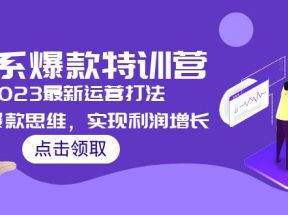 淘系爆款特训营，2023最新运营打法，学习爆款思维，实现利润增长