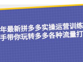 最新拼多多实操运营训练营：手把手带你玩转多多各种流量打法