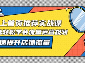 淘宝上首页/推荐实战课：0基础轻松学会流量运营规划，快速提升店铺流量