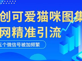 黑科技纯原创可爱猫咪图片，全网精准引流，实操5个VX号被加频繁