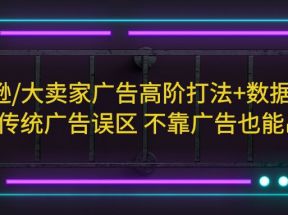 亚马逊/大卖家广告高阶打法+数据分析，走出传统广告误区 不靠广告也能出单