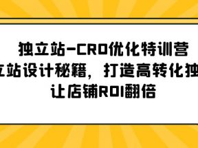 独立站-CRO优化特训营，独立站设计秘籍，打造高转化独立站，让店铺ROI翻倍