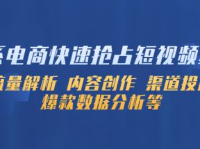 淘系电商快速抢占短视频红利：流量解析 内容创作 渠道投放 爆款数据分析等