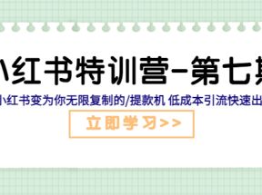 小红书特训营-第七期让小红书变为你无限复制的提款机低成本引流快速出单