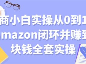 电商小白实操从0到1跑通amazon闭环并赚到一块钱全套实操