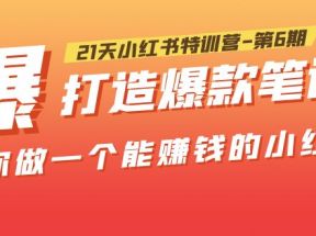 21天小红书特训营-第6期，打造爆款笔记，带你做一个能赚钱的小红书