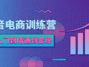 抖音电商训练营：从入门到精通，从账号定位到流量变现，抖店运营实操