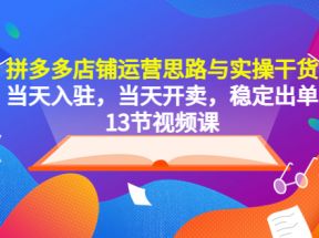 拼多多店铺运营思路与实操干货，当天入驻，当天开卖，稳定出单（13节课）