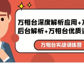 万相台实战训练课：万相台深度解析应用+万相台后台解析+万相台优质资源位