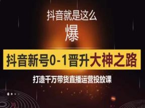 0粉自然流实战起号课，抖音新号0~1晋升大神之路，打造千万带货直播运营投放课