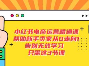 小红书电商·运营精通课，帮助新手卖家从0走向1 告别无效学习（17节视频课）