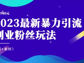 价值980元的2023最新暴力引流创业粉丝玩法（教程+素材）