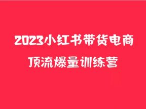 小红书电商爆量训练营，月入3W+！可复制的独家养生花茶系列玩法