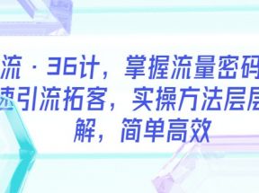 引流·36计，掌握流量密码，快速引流拓客，实操方法层层拆解，简单高效