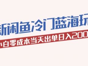 最新闲鱼冷门蓝海玩法，小白零成本当天出单日入200+