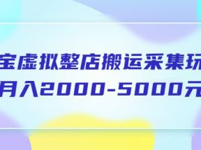 淘宝虚拟整店搬运采集玩法分享课：月入2000-5000元（5节课）