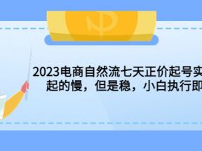 2023电商自然流七天正价起号实战课：起的慢，但是稳，小白执行即可