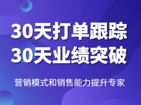 营销模式和销售能力提升专家，30天打单跟踪，30天业绩突破