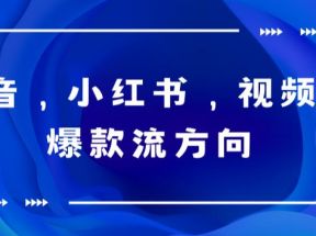 抖音，小红书，视频号爆款流视频制作，简单制作掌握流量密码