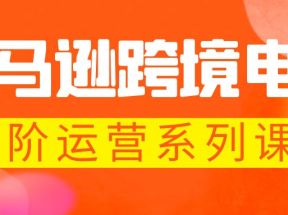 亚马逊跨境-电商全阶运营系列课程 每天10分钟，让你快速成为亚马逊运营高手