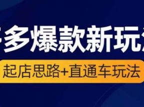 2023拼多多爆款·新玩法：起店思路+直通车玩法（3节精华课）