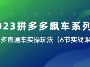  2023拼多多飙车系列课，多多直通车实操玩法（6节实战课）