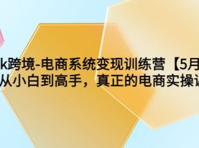 TikTok跨境-电商系统变现训练营【5月新课】从小白到高手，真正的电商实操课 