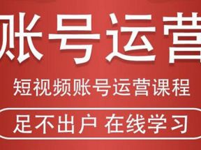 短视频账号运营课程：从话术到短视频运营再到直播带货全流程，新人快速入门