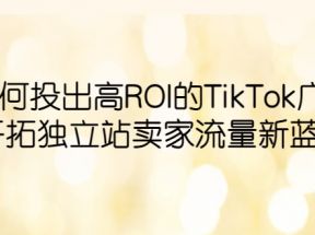 如何投出高ROI·TikTok广告，开拓独立站卖家流量新蓝海