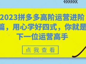 2023拼多多高阶运营进阶篇，用心学好四式，你就是下一位运营高手