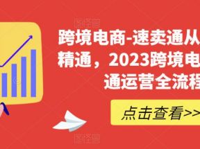 速卖通从0基础到精通，2023跨境电商-速卖通运营实战全流程