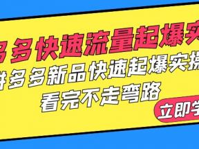 拼多多-快速流量起爆实战，拼多多新品快速起爆实操，看完不走弯路