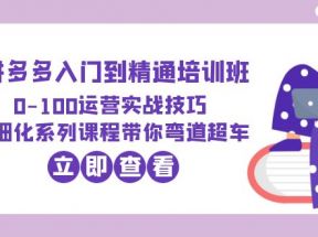 2023拼多多入门到精通培训班：0-100运营实战技巧 精细化系列课带你弯道超车