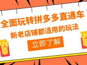 全面玩转拼多多直通车，新老店铺都适用的玩法（12节精华课）