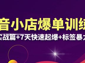 抖音小店爆单训练营VIP线下课：6大实战篇+7天快速起爆+标签暴力玩法(32节)