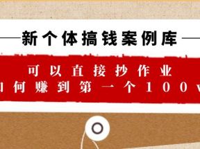新个体 搞钱案例 库，可以直接抄作业 如何赚到第一个100w（29节视频+文档）
