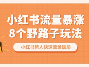 小红书流量-暴涨8个野路子玩法：小红书新人快速流量破局（8节课）