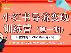 小红书导流变现营，一线实操实战团队总结，真正实战，全是细节！