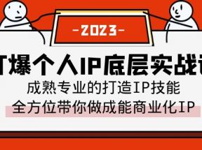 打爆·个人IP底层实战课，成熟专业的打造IP技能 全方位带你做成能商业化IP